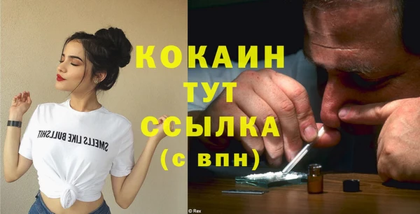 стаф Богданович