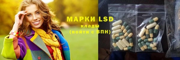 стаф Богданович