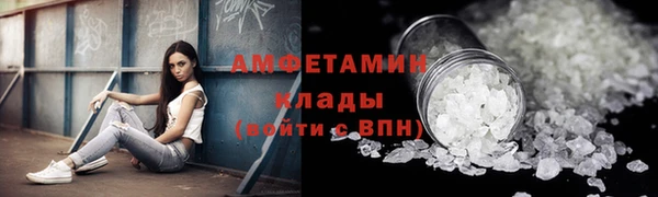 стаф Богданович