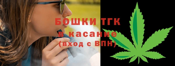 соль ск Богородск