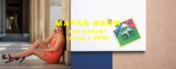 стаф Богданович