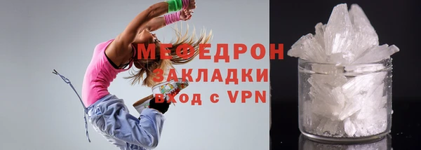 стаф Богданович