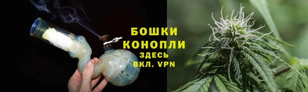 стаф Богданович