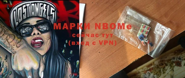 стаф Богданович