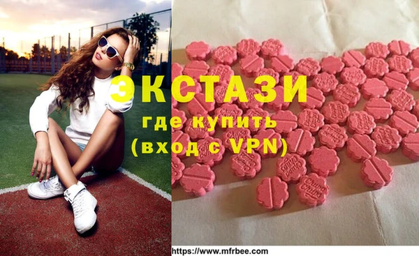 стаф Богданович
